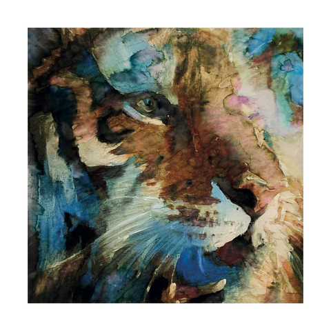 Cheryl Simpson Art Limited Edition Art Print - Tiger